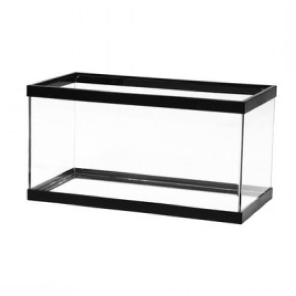 20 gallon fish tank 20 gallon fish tank