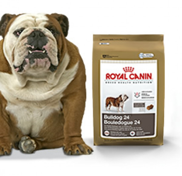 canin bulldog food