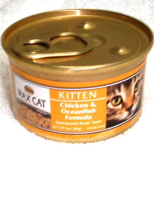 Nutro Wet Kitten Food Review Nutro Wet Kitten Food Review