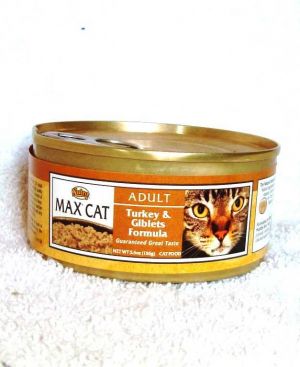 Cat Food Cat And Kitten Pets