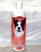 Bio Groom Dog Flea/Tick Shampoo
