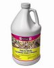 Tree And Shrub Systemic Insect Drench Gallon