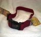 New Earth Soy Dog Collar 18 Inch