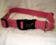 New Earth Soy Dog Collar 26 Inch