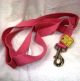 New Earth Soy Dog Lead 1 Inch 6 Foot