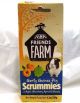 Gerty Guinea Pig Scrummies Treats