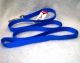 Nylon Dog Leash 5/8 Inch 4 Foot