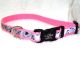 Coastal LazerBrite Reflective Collar 8-12