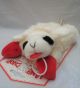 Small Lamb Chop Dog Toy