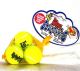 Air Kong Extra Small Squeakers Tennis Ball Dog Toy