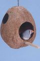 Coconut Bird House For Small Birds