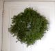 Plain Fresh Balsam Evergreen Wreath 18