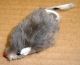 Tiny Fur Mouse Cat Toy