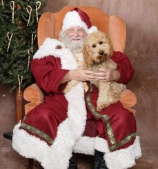Santa Santa