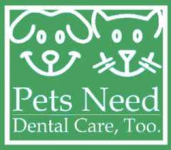 pet dental