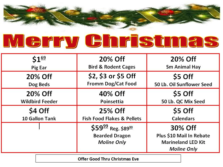 Christmas Sale